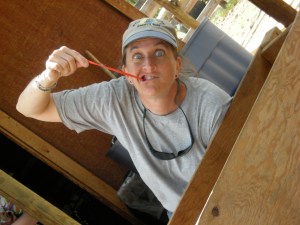 sally gerard pull and peel