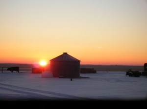 Winter Spring 2008 003