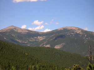 sallys camra 299 (1)