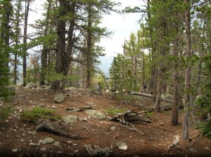 pack trip July 2007 082