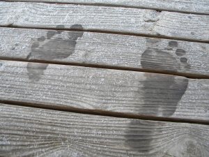 alex's camera 8 2010 012