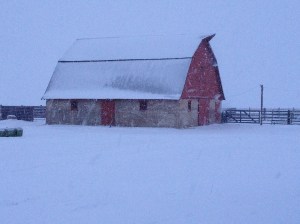 Cold, snowy mornings