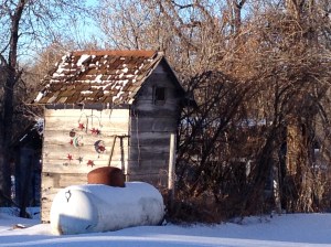 The best little outhouse ever!