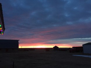 This morning's awesome beauty.