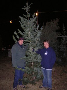 Picking the Christmas tree ritual!
