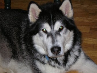 sallys camra 005 (1)