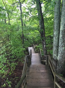 Blessing on a beautiful trail we hiked on our honeymoon trip.