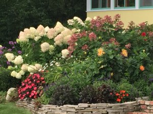 Blessing in the flowers on Mackinac Island.