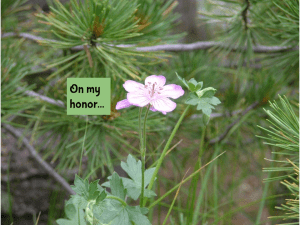 untitled-presentation