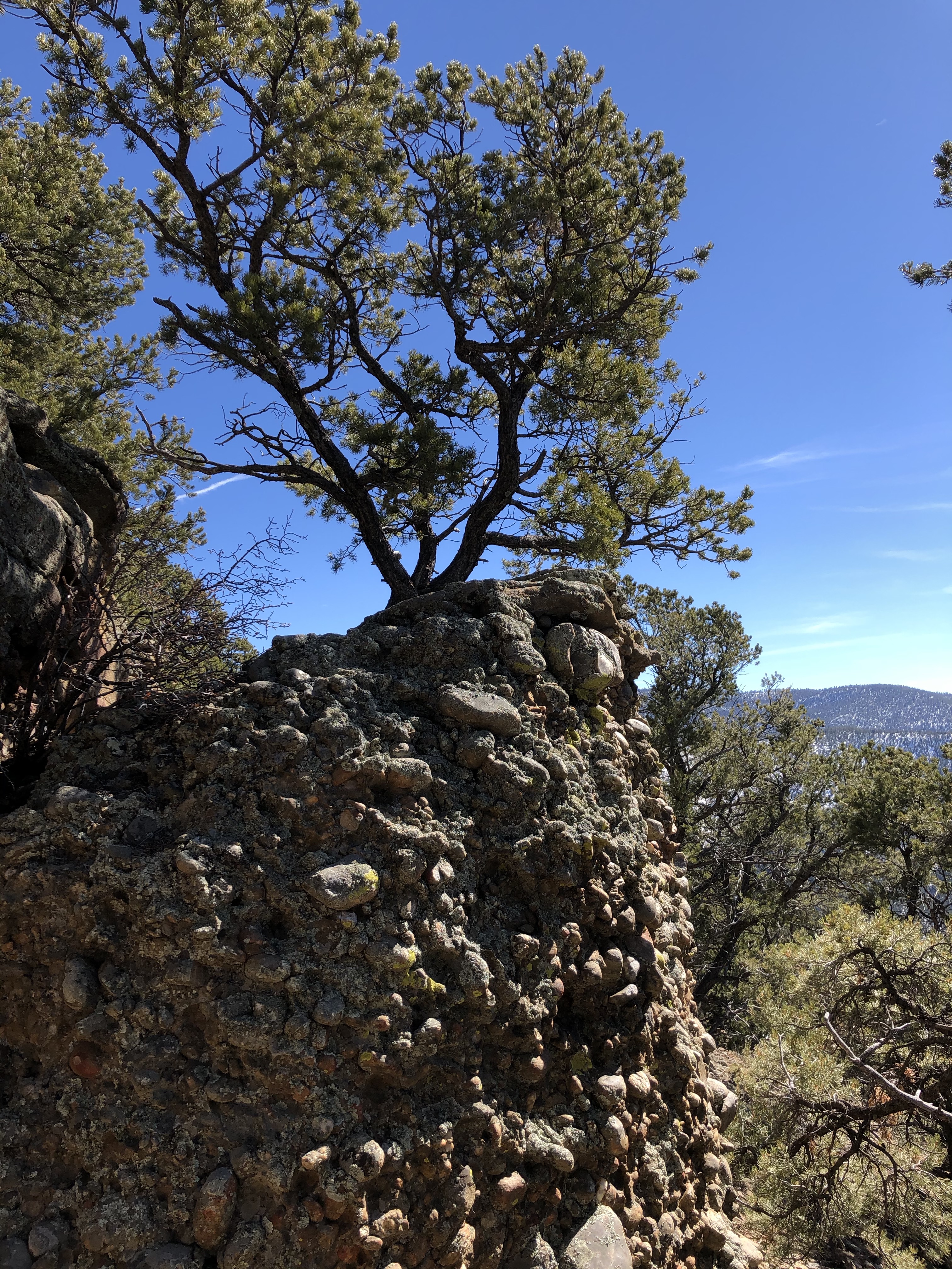 5pRGllE+TUWb89yqEp2QUQ