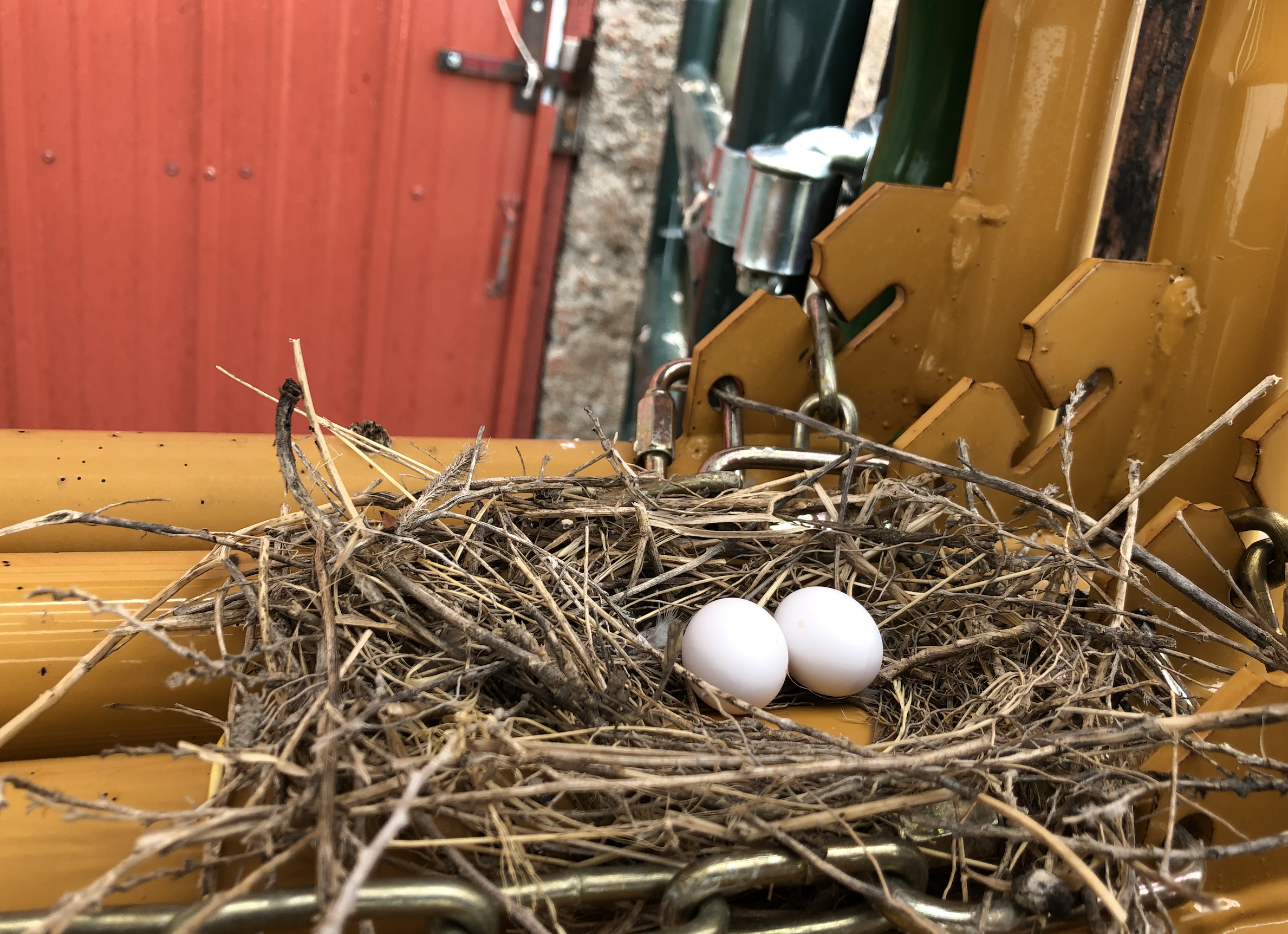 Screen Shot 2021-08-02 at 4.07.43 PM