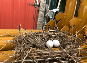 Screen Shot 2021-08-02 at 4.07.43 PM